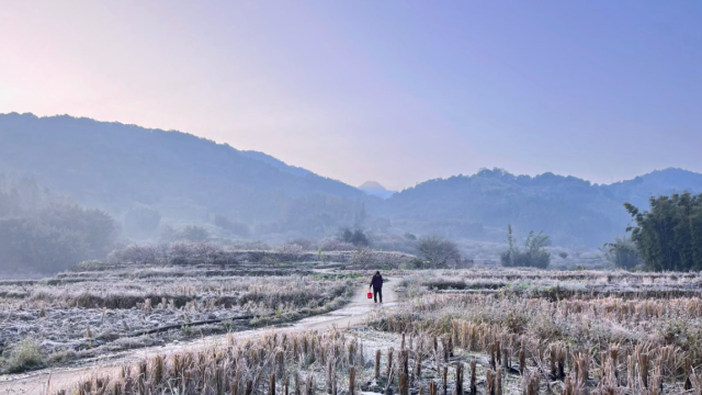 New cold air to hit Guangdong after brief warm-up