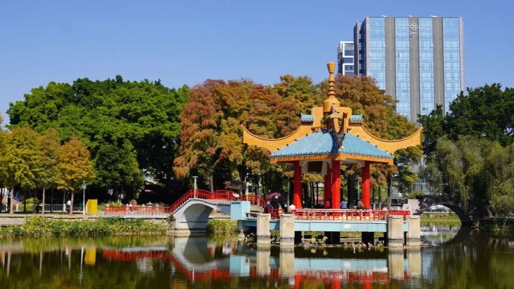 Shantou embraces its most romantic "Maillard Season" with vibrant bald cypress views