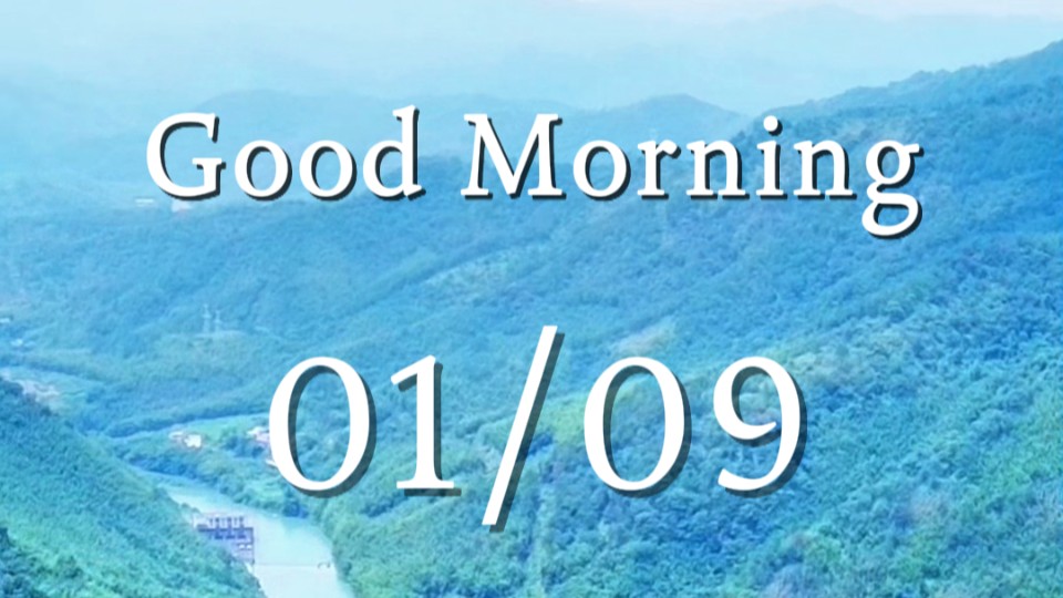 ​Bamboo shadows sway in breeze, where joy fills heart