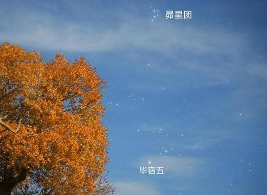 △2024年10月14日 在新疆哈密伊吾胡杨林拍摄的金牛座（含昴星团和毕宿五）