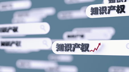 《中国知识产权保险发展白皮书（2022）》发布 已提供逾1100亿元风险保障