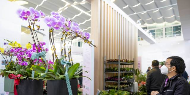 2nd Guangzhou Intl (Liuxi) Flower Expo kicks off in Conghua 2nd Guangzhou Intl (Liuxi) Flower Expo kicks off in Conghua