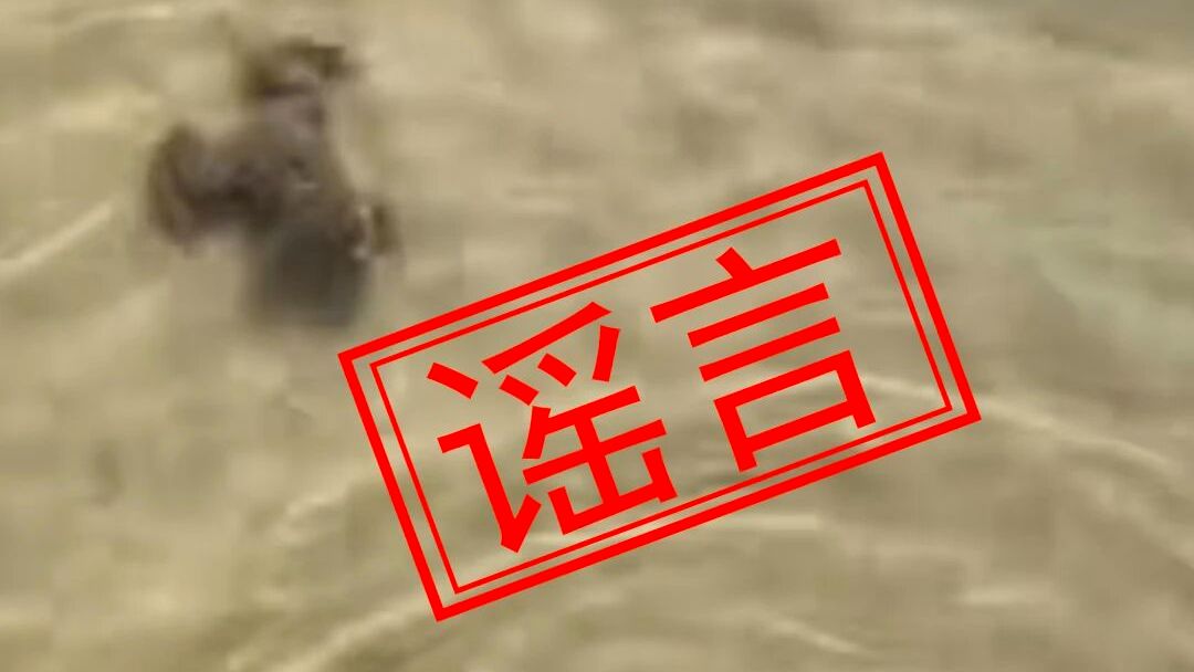 “广西北海有人放生淡水龟”系谣言｜破谣局