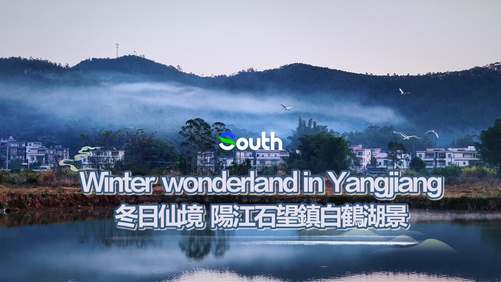 Winter wonderland: White cranes in Shiwang Town, Yangjiang