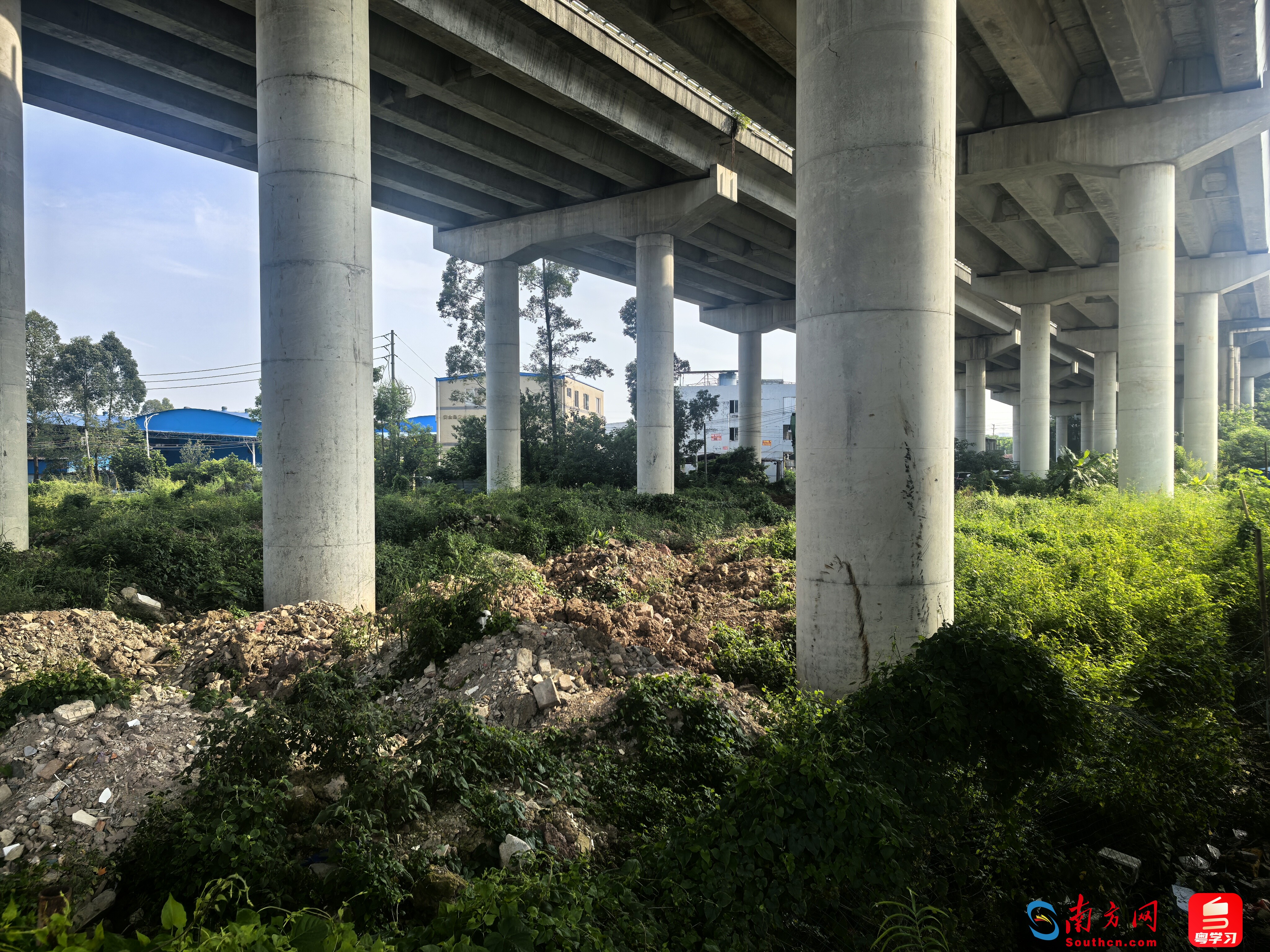 改造前的东涌镇大涌高架桥桥下空间