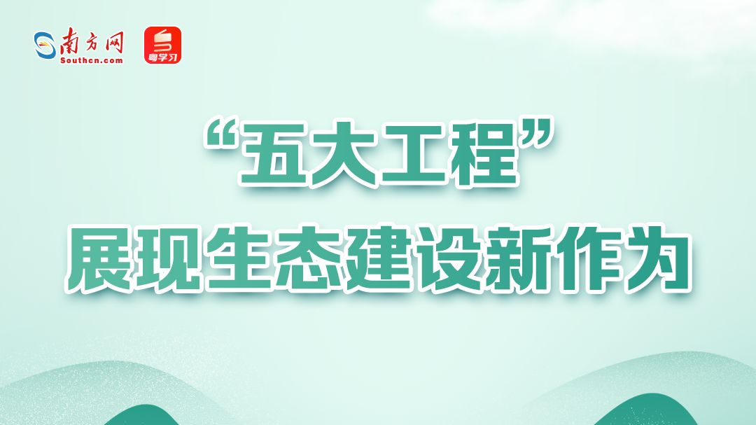 红树林营造面积全国第一！海上新广东交出“十四五”生态亮眼答卷