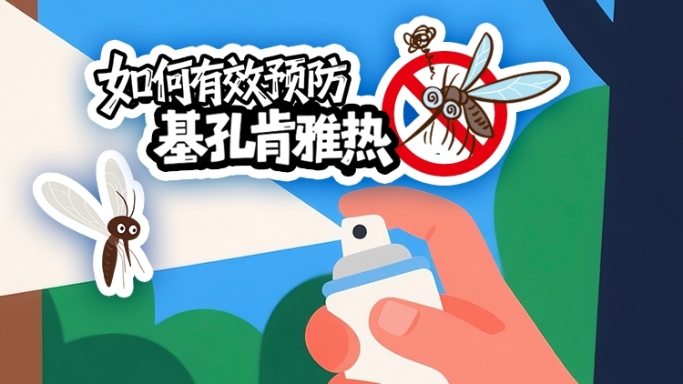 基孔肯雅热可防可控，这份防蚊攻略请收藏！