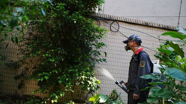 早晚两个时段关好门窗！广州启动统一灭蚊大行动