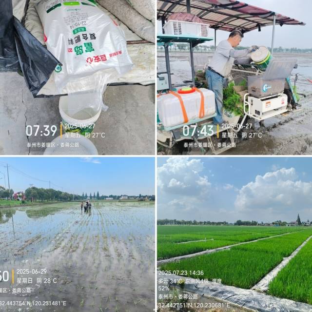  泰州水稻品牌标杆基地。