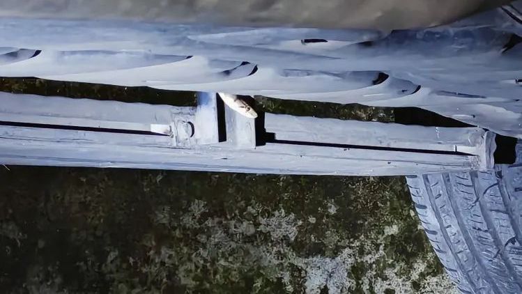 蛇蛇藏在轿车里，上车小心“不速之客”！