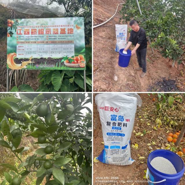 江西赣州脐橙品牌标杆基地。