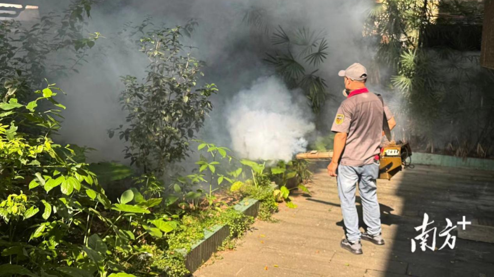 Chikungunya surge in Guangdong: What mosquito repellents you can take on metro?