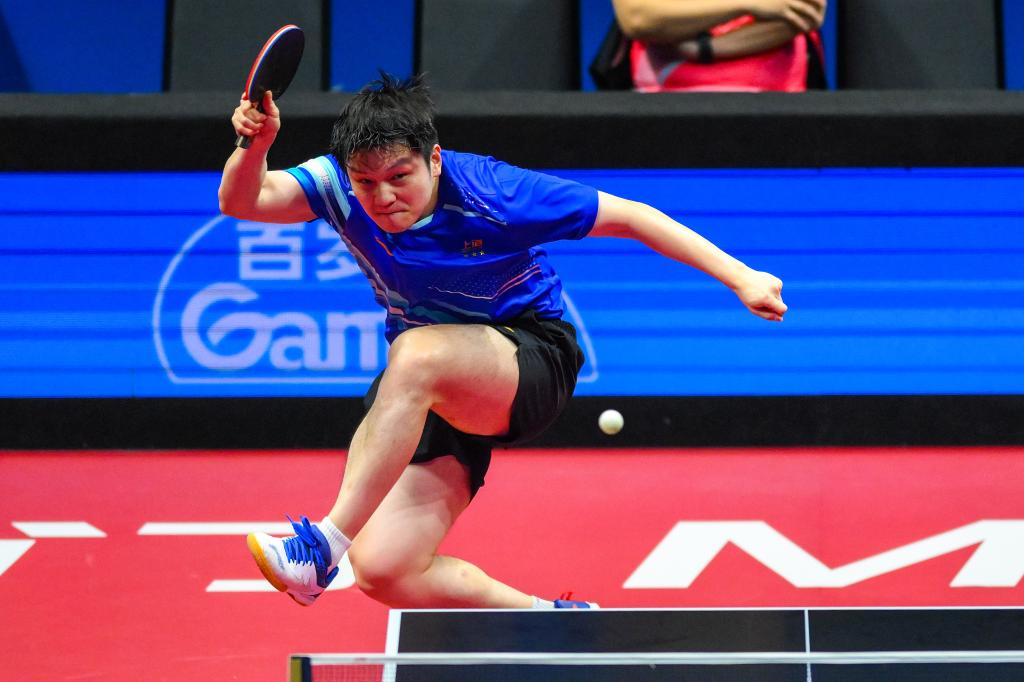 11月15日,樊振东在比赛中回球。新华社发(张金加摄)