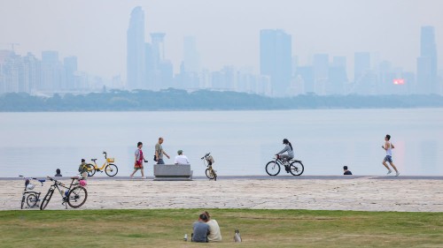 追光｜42.195公里，连接了多少“大湾区奇迹”？