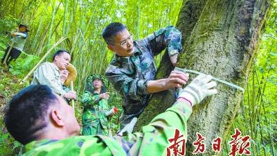 广东启动新一轮林草湿调查监测 将建统一评价体系 广东启动新一轮林草湿调查监测 将建统一评价体系