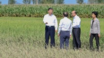 习近平:奋力开创黑龙江高质量发展新局面 习近平:奋力开创黑龙江高质量发展新局面