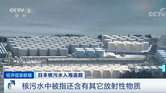 对话海洋学家、核医学专家：日本核污染水影响几何？