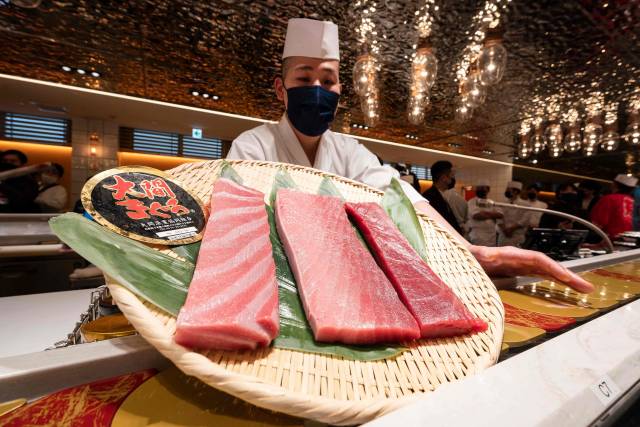 厨师在日本一家寿司店向媒体展示金枪鱼的鱼肉。图源：新华社