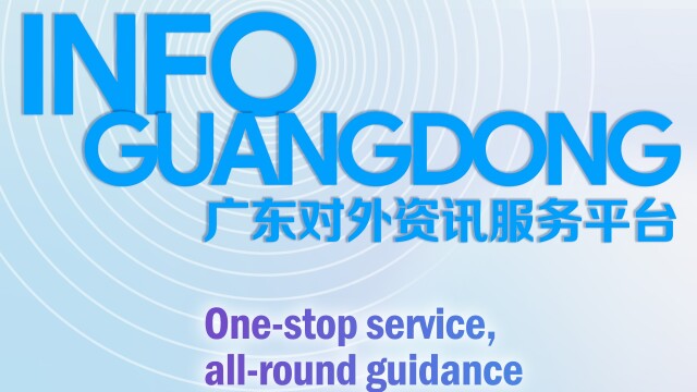 Infographics | What you need to know about this service platform for expats in Guangdong