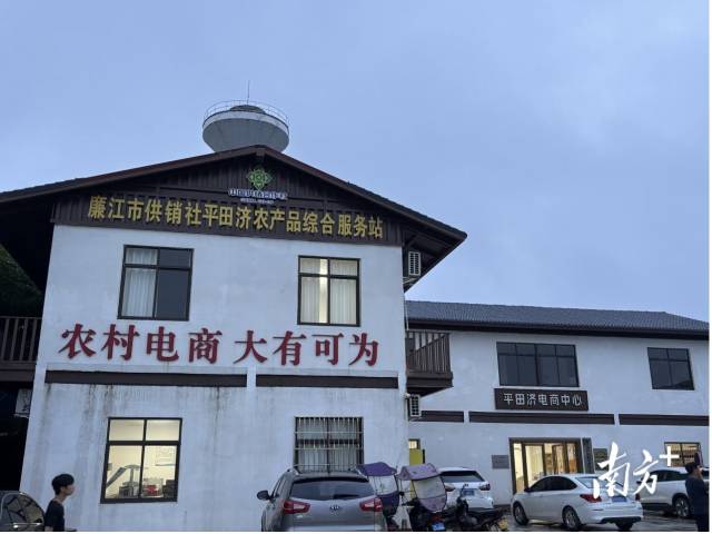 电商已经成为廉江荔枝的重要销售渠道。