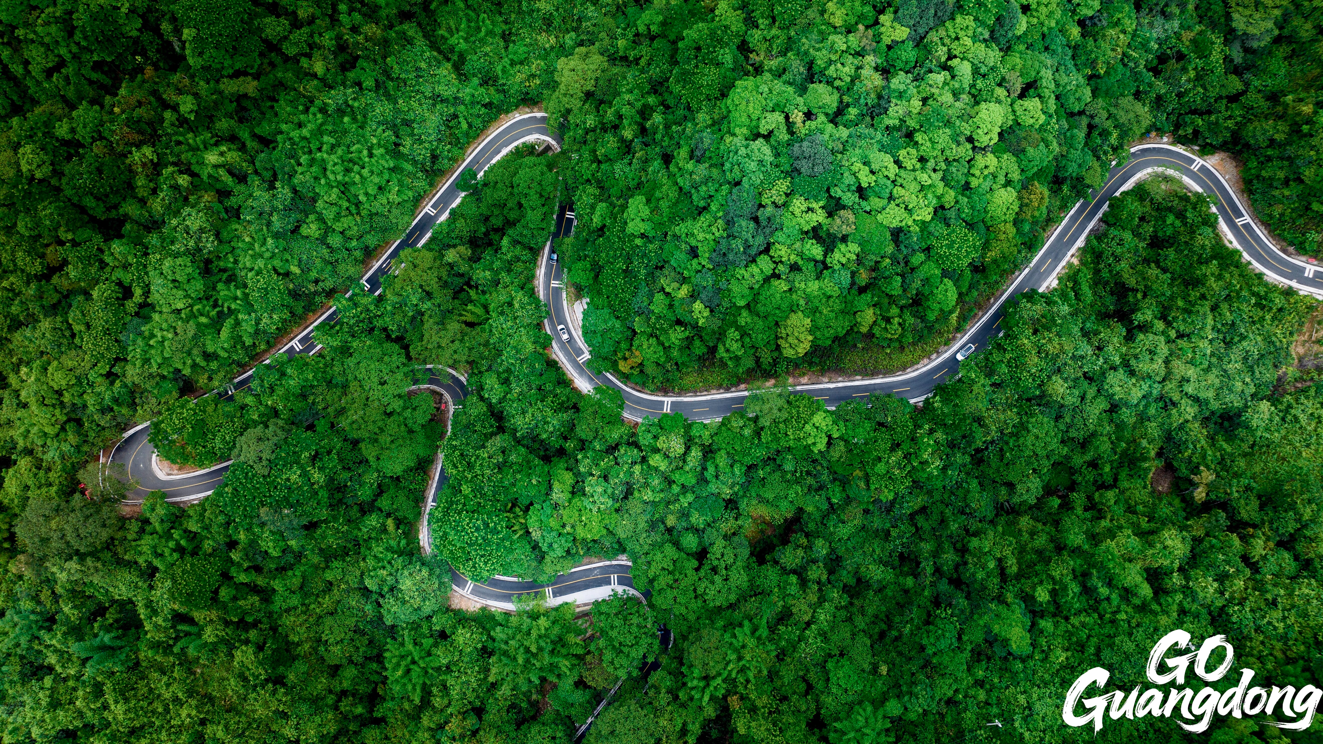 Boluo County: Scenic highway unveils hidden charm of Hakka villages