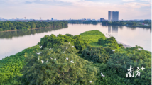广州印发2022年第1号总河长令 年内完成妨碍行洪突出问题清理整治 广州印发2022年第1号总河长令 年内完成妨碍行洪突出问题清理整治