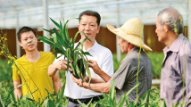 培养造就堪当民族复兴重任的高素质年轻干部队伍 培养造就堪当民族复兴重任的高素质年轻干部队伍