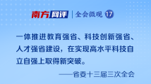 奋力在实现高水平科技自立自强上取得新突破 奋力在实现高水平科技自立自强上取得新突破