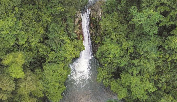 綠水青山圍繞 泛珠生態建設取得新成效