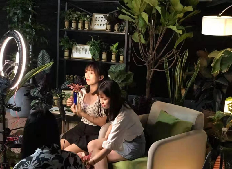 什么是电商带货主播 c846feeec1.png