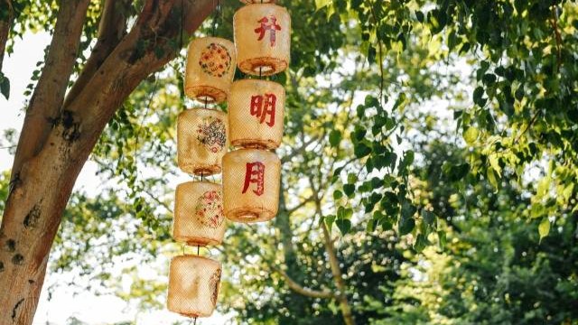 Find Nanshan | Four must-go places to celebrate Mid-Autumn Festival