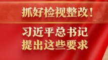 抓好检视整改!习近平总书记提出这些要求 抓好检视整改!习近平总书记提出这些要求