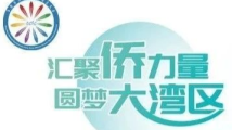 90个国家和地区华人华侨代表齐聚江门 2023华侨华人粤港澳大湾区大会16日开幕 90个国家和地区华人华侨代表齐聚江门 2023华侨华人粤港澳大湾区大会16日开幕