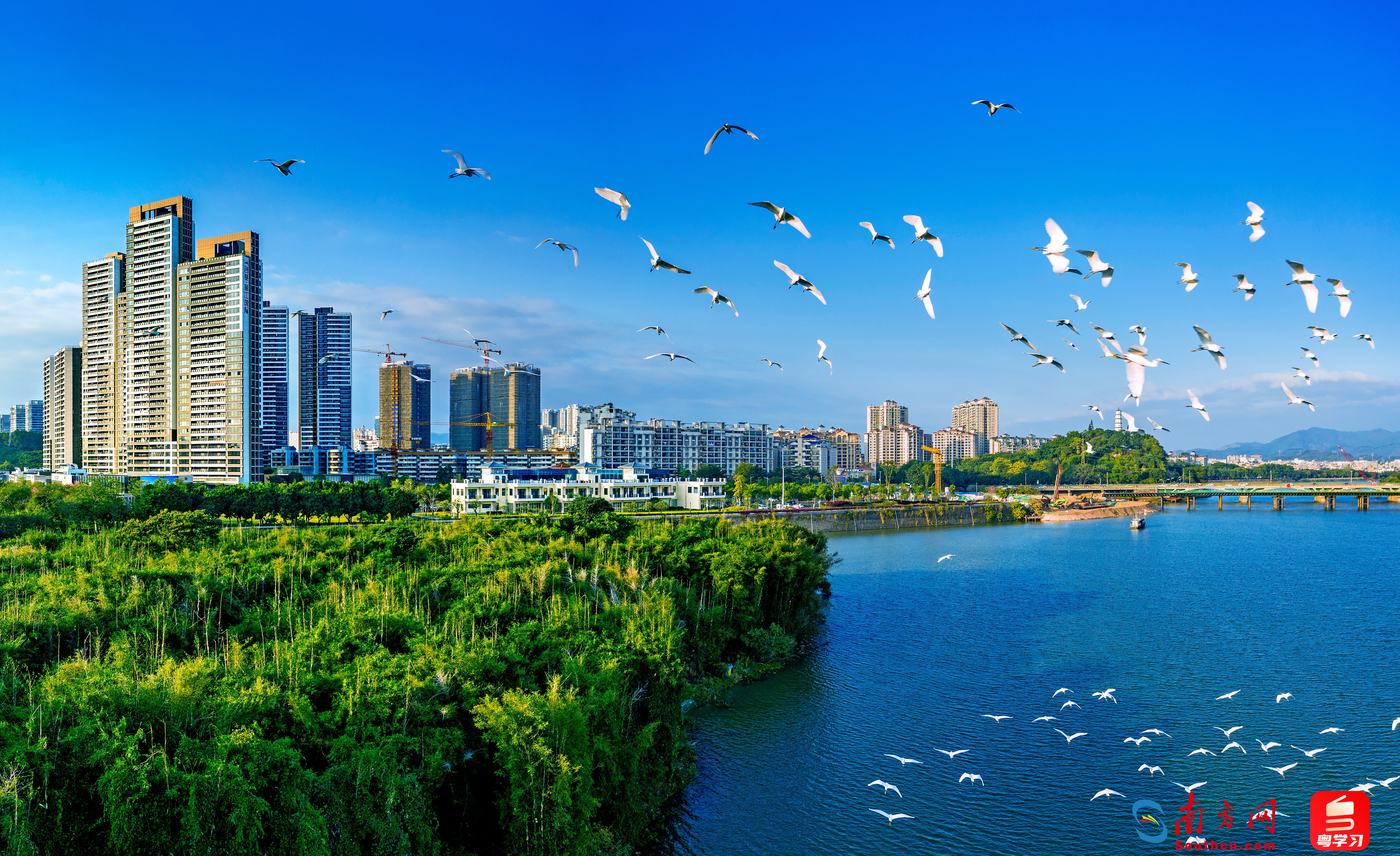 园中赏花、江边观鸟……广东着力打造绿美广东生态建设示范带