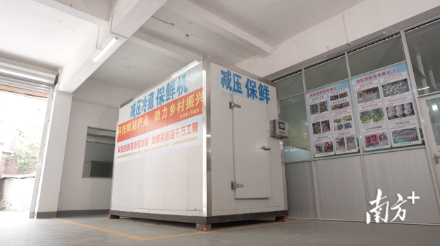 高州市新垌镇长流村的强村公司，摆放着一台5立方米的减压冷藏保鲜机。南方+记者 杨奇 摄