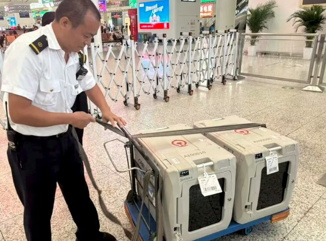 图源:“广铁集团深圳火车站”微信公众号