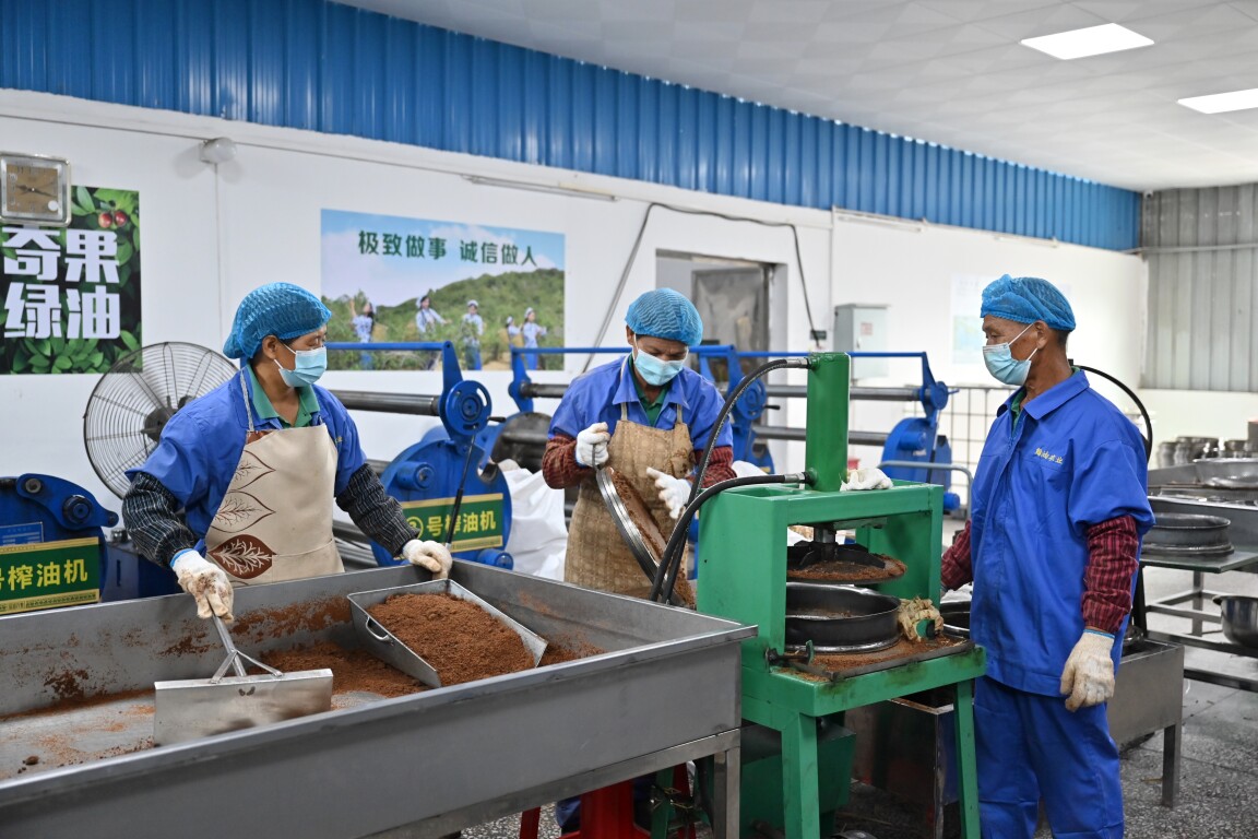 工人进行榨油（通讯员供图）