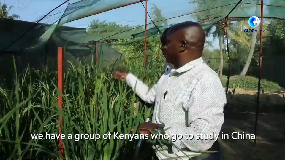 China-Africa partnership forges path to mutual growth, modernization