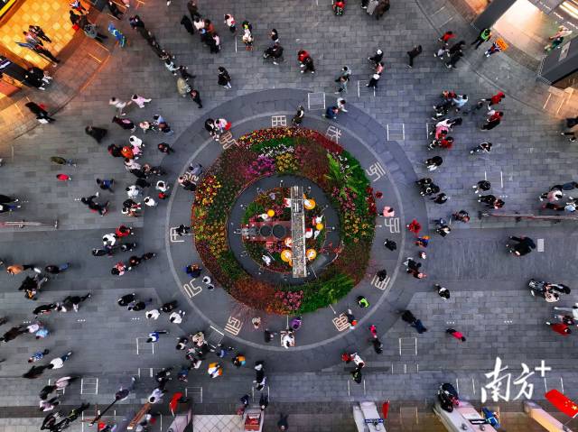 广州北京路“百年花市”回归，为广大市民呈献传统花市“烟火气”。记者梁文祥梁钜聪摄