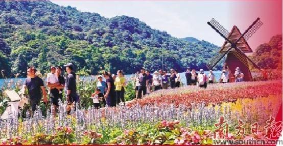 　　广州石门国家森林公园，千日粉、黄穗、赤壁、大花海棠等花卉构成了花的海洋，吸引了游客们拍照留念。李晓彤 摄