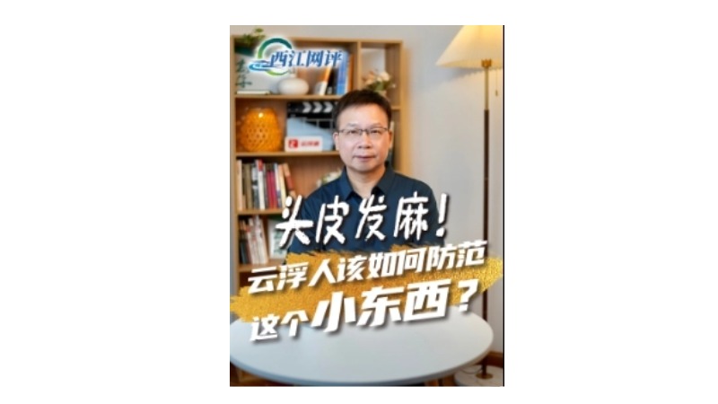 西江网评丨头皮发麻！云浮人该如何防范这个小东西？