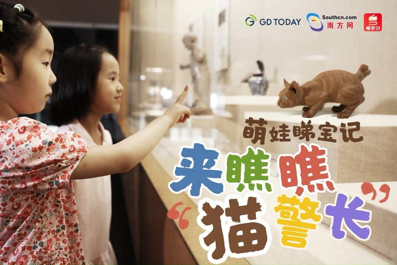 Treasure Hunt with Kids | "Celebrity Cat" in Guangdong Museum