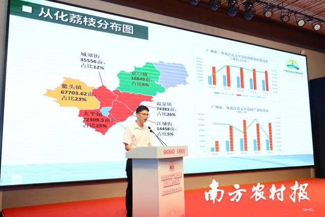 从化区农业农村局副局长李斌峰推介从化荔枝。 