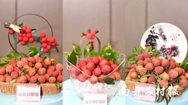 现场展出的从化妃子笑、从化冻眠荔枝、从化白糖罂。