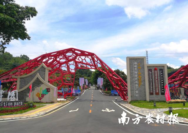从化区是广州市最大的产区，也是中国著名的荔枝之乡、荔枝蜜之乡。
