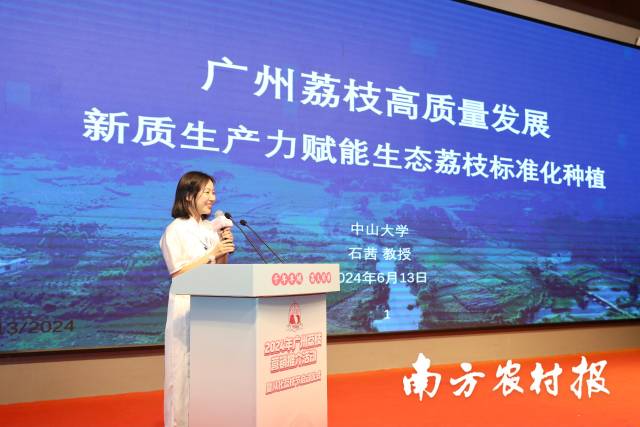 中山大学教授、博士生导师、国家优青石茜从标准化种植方面对广州荔枝发展提出了建议。 