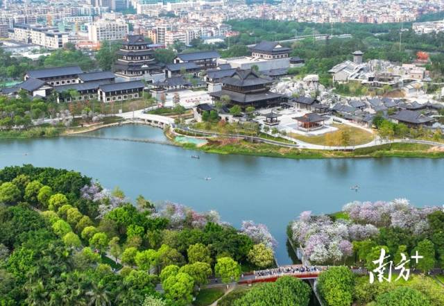 3月19日，广州海珠湖湿地，春暖花开，景色宜人游客纷至。及时雨 摄