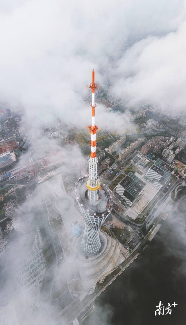 3月14日清晨，广州迎来了久违的低云，广州塔在云中矗立，异常壮观。陈国亨 摄