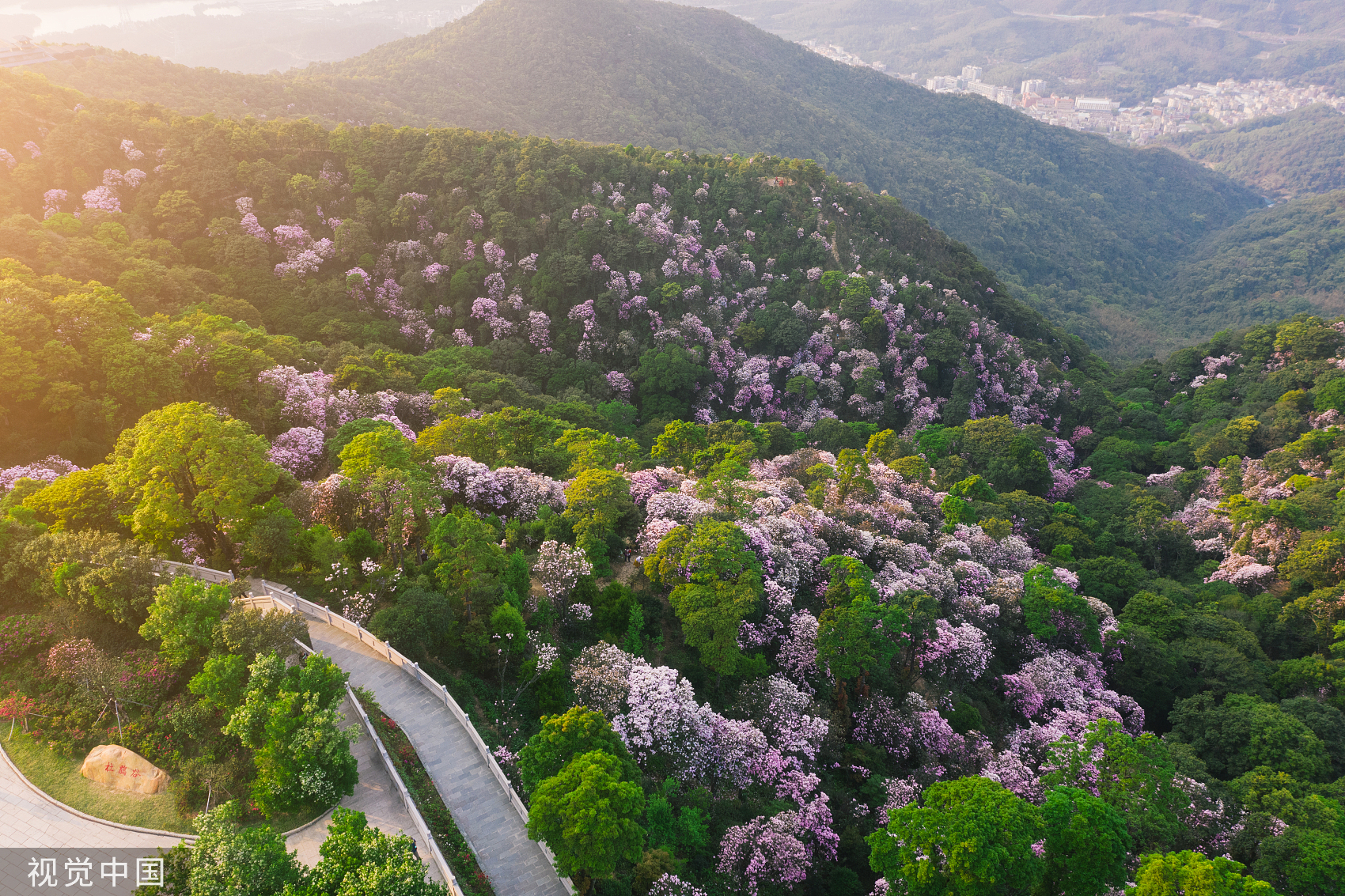 International Day of Forests | Top 10 most beautiful forests in Guangdong, how many have you been to?