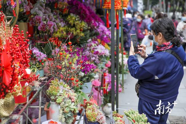 迎新年逛花街!廣州多區公佈2023年迎春花市安排